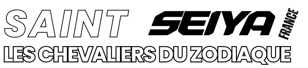 「SAINT SEIYA FRANCE」Les Chevaliers du Zodiaque